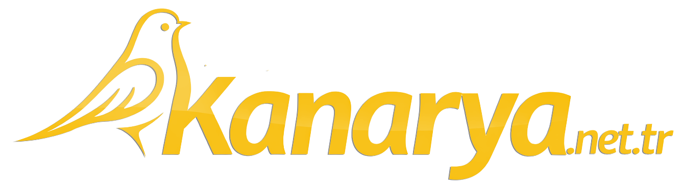 1770753439008.png
